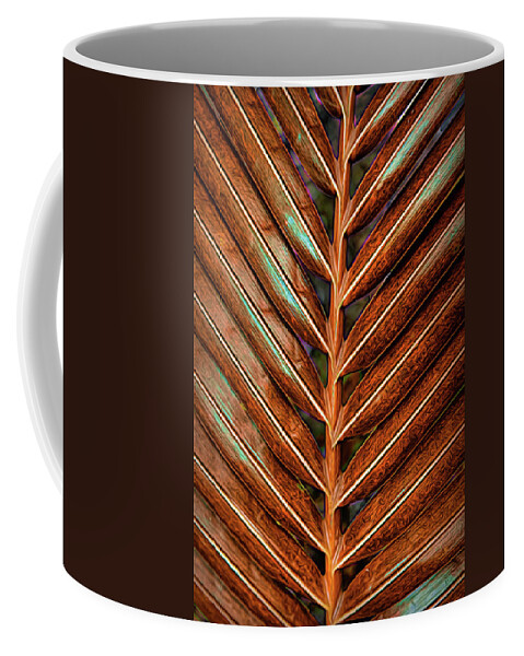 Florida Coffee Mug featuring the photograph Garden Palm Fronds in Autumn by Debra and Dave Vanderlaan