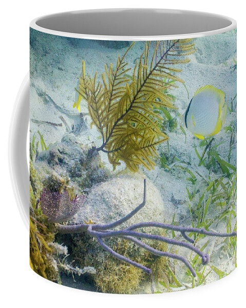 Animals Coffee Mug featuring the photograph Garden Spot by Lynne Browne