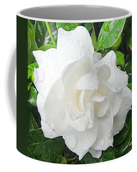 Gardenia Coffee Mug featuring the photograph Gardenia - After The Rain by VIVA Anderson
