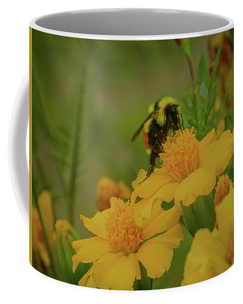 Bee Coffee Mug featuring the photograph Happiness by Laura Putman