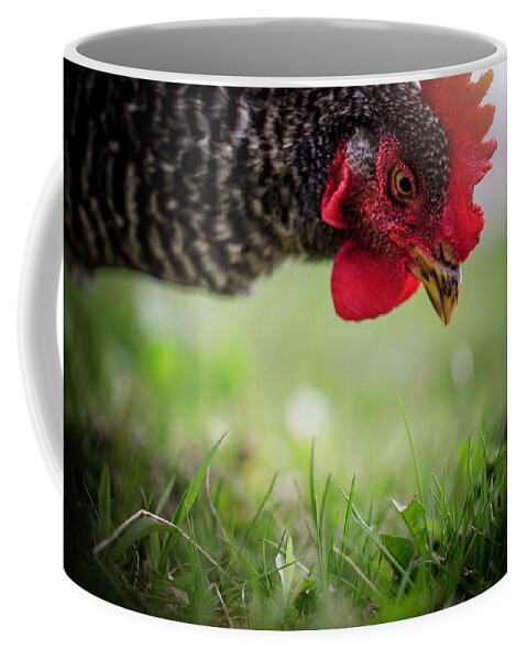  Coffee Mug featuring the photograph Gentle Hen by Nicole Engstrom