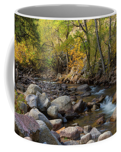 Boulder Colorado Coffee Mug featuring the photograph Gentle Stream by James BO Insogna
