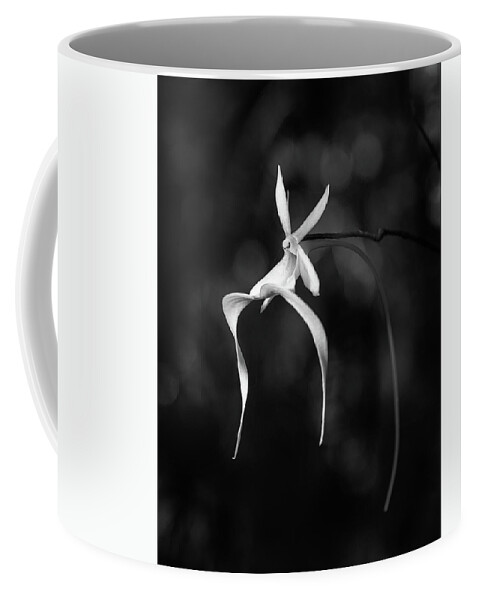 Black & White Coffee Mug featuring the photograph Ghost Orchid 2 BW by Rudy Wilms