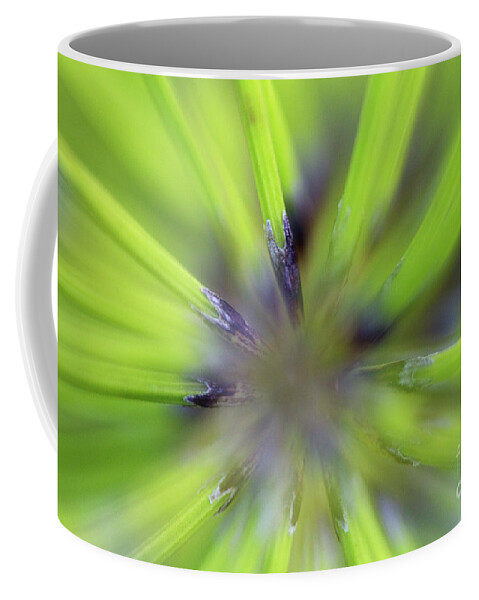 70036568 Coffee Mug featuring the photograph Giant Horsetail Abstract by Gerard de Hoog