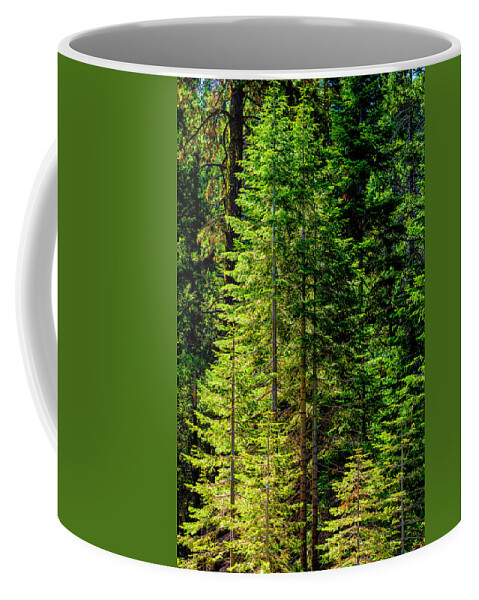 Sequoia Trees Coffee Mug featuring the photograph Mariposa Grove in Yosemite by Lindsay Thomson