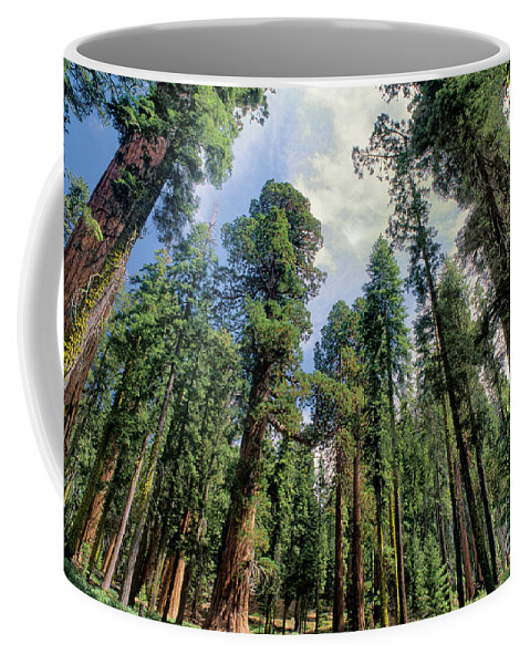 Dave Welling Coffee Mug featuring the photograph Giant Sequoias Sequoiadendron Gigantium Yosemite by Dave Welling