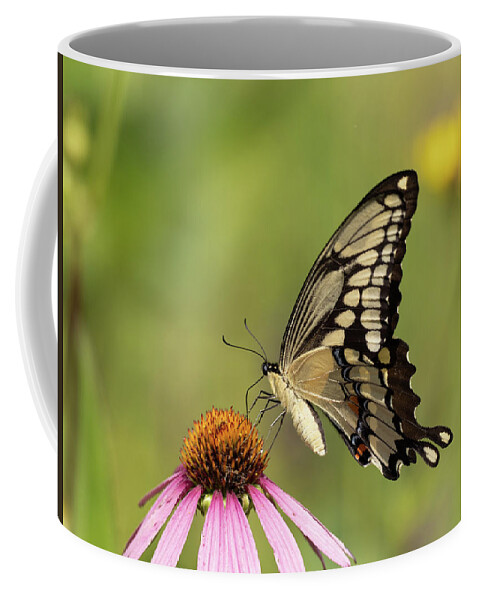 Butterflies Coffee Mug featuring the digital art Giant Swallowtail's grace by Paulette Marzahl