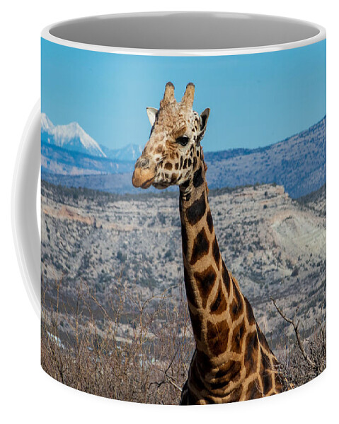 Giraffe At Out Of Africa Fstop101 Coffee Mug featuring the photograph Giraffe by Geno Lee