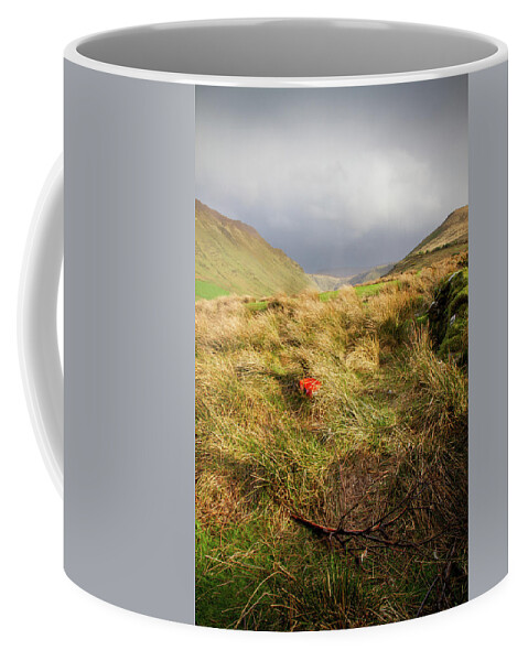 Kerry Coffee Mug featuring the photograph Glenahoo Wolfbane by Mark Callanan