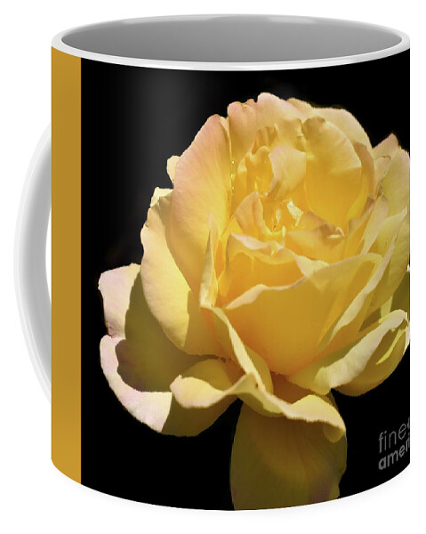 Nature Coffee Mug featuring the photograph Glorious Day Rose after Rain by Leonida Arte