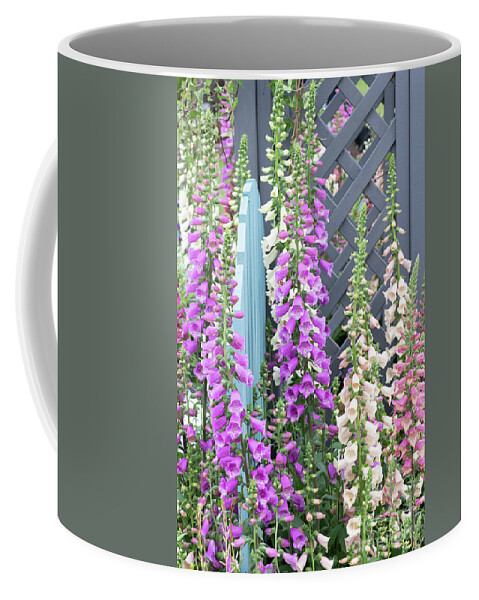 Digitalis Purpurea Coffee Mug featuring the photograph Glorious Foxgloves by Tim Gainey