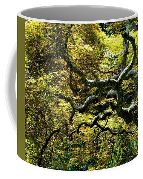 Trees Coffee Mug featuring the photograph Gnarly Tree Closeup by Linda Stern