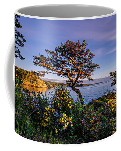 Tree Coffee Mug featuring the photograph Gnarly Tree by Gary Skiff