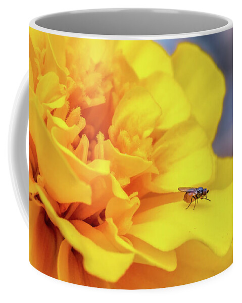 Gnat Coffee Mug featuring the photograph Gnat On A Yellow Flower by Gemma Mae Flores Sellers