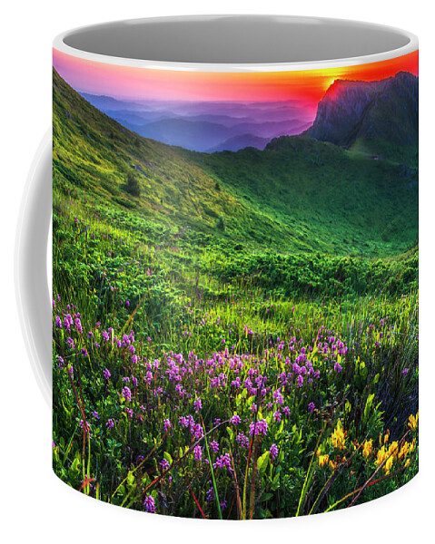 Balkan Mountains Coffee Mug featuring the photograph Goat Wall by Evgeni Dinev