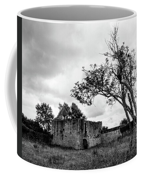River Thames Coffee Mug featuring the photograph Godstow Nunnery by Richard Donovan