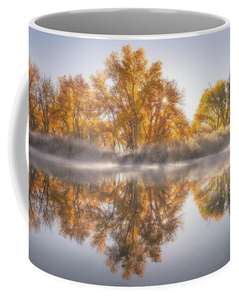 Fall Coffee Mug featuring the photograph Gold In the Trees by Darren White