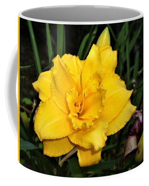 Flower Coffee Mug featuring the photograph Gold Ruffled Day Lily by Nancy Ayanna Wyatt