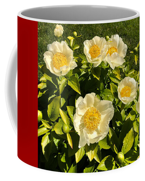 Flower Coffee Mug featuring the photograph Golden Angel Peonies by Russel Considine