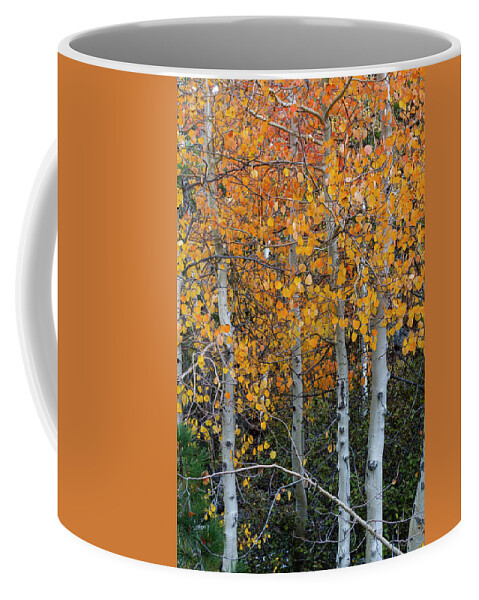 North America Coffee Mug featuring the photograph Golden Aspens of Sonora Pass by Mark Miller