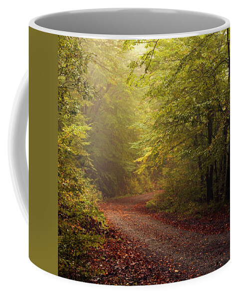 Balkan Mountains Coffee Mug featuring the photograph Golden Autumn by Evgeni Dinev