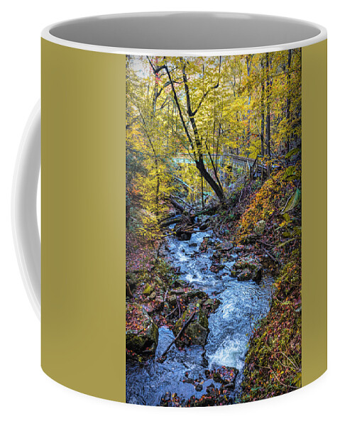 Cherokee Coffee Mug featuring the photograph Golden Autumn Fall Cascades at Cloudland Canyon by Debra and Dave Vanderlaan