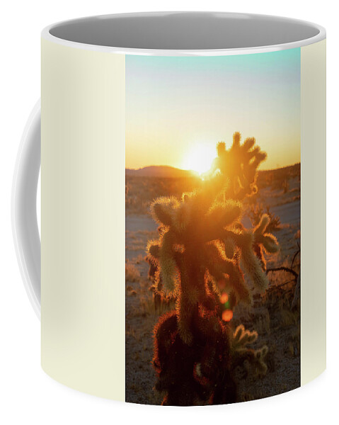 California Coffee Mug featuring the photograph Golden Cholla 2 by Go and Flow Photos