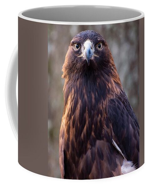 Eagle Pictures Coffee Mug featuring the photograph Golden eagle 4 by Flees Photos