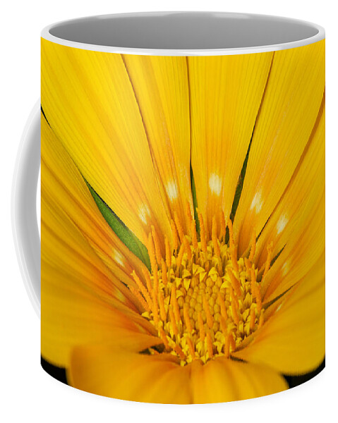 Yellow Ganzia Coffee Mug featuring the photograph Golden Ganzia Macro by Bj S