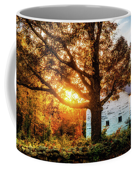 Reflections Coffee Mug featuring the photograph Golden hour autumn light by Lilia S
