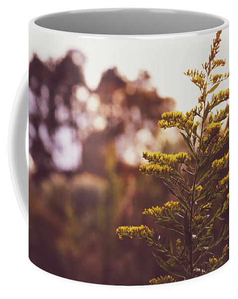 Mountain Coffee Mug featuring the photograph Golden Hour Flower by Go and Flow Photos