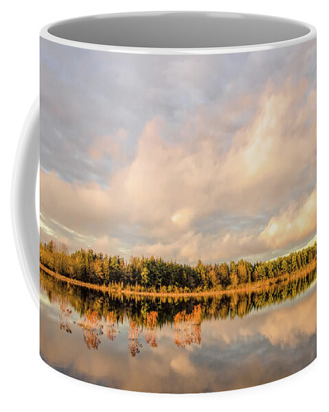 Reflection Coffee Mug featuring the photograph Golden Hour Pine Glow by Beth Venner