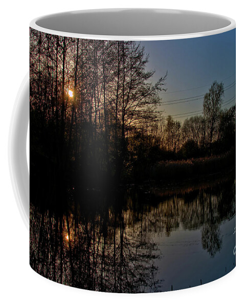 Landscape Coffee Mug featuring the photograph Golden Hour Pool by Stephen Melia