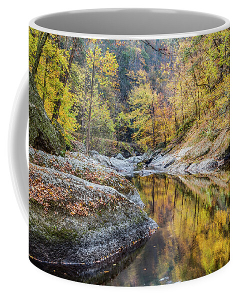 Fall Coffee Mug featuring the photograph Golden Reflections by Jim Miller
