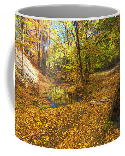 Bulgaria Coffee Mug featuring the photograph Golden River by Evgeni Dinev