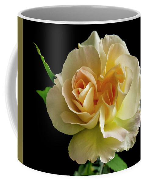 Flower Coffee Mug featuring the photograph Golden Rose by Cathy Kovarik