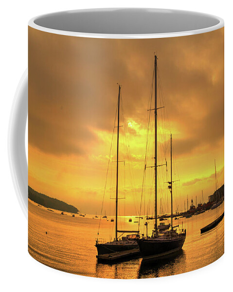 Fine Art Coffee Mug featuring the photograph Golden Stillness by Robert Harris