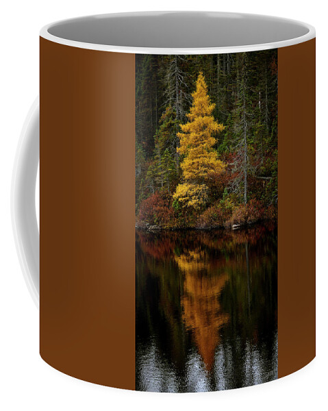 Canada Coffee Mug featuring the photograph Golden Tamarack by Doug Gibbons