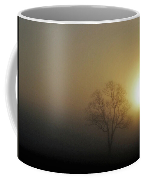 Fog Coffee Mug featuring the photograph Golden Tree by Jerry Connally