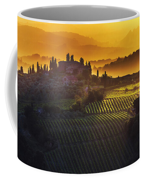 Italy Coffee Mug featuring the photograph Golden Tuscany by Evgeni Dinev