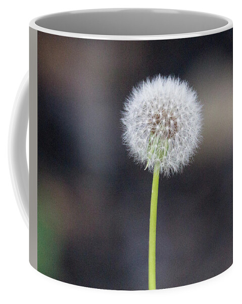 Flower Coffee Mug featuring the photograph Gone to seed by David Beechum