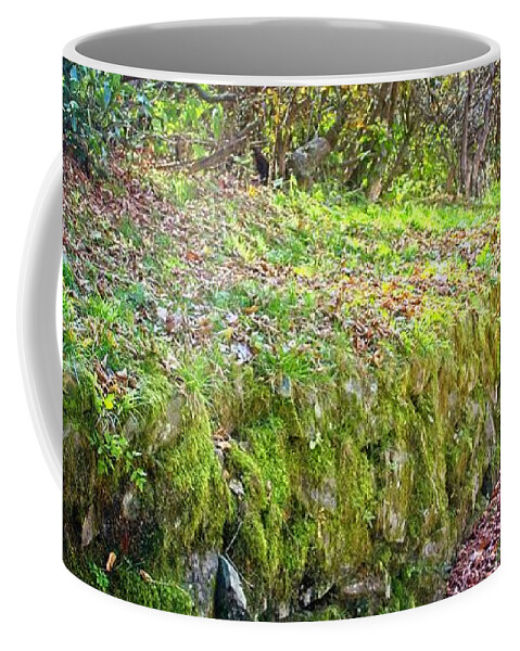 Path Coffee Mug featuring the photograph Good Day For A Walk by Allen Nice-Webb