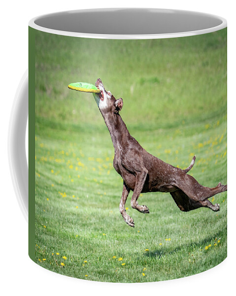 Dogs Coffee Mug featuring the photograph Good dog - nailed it by Judi Dressler