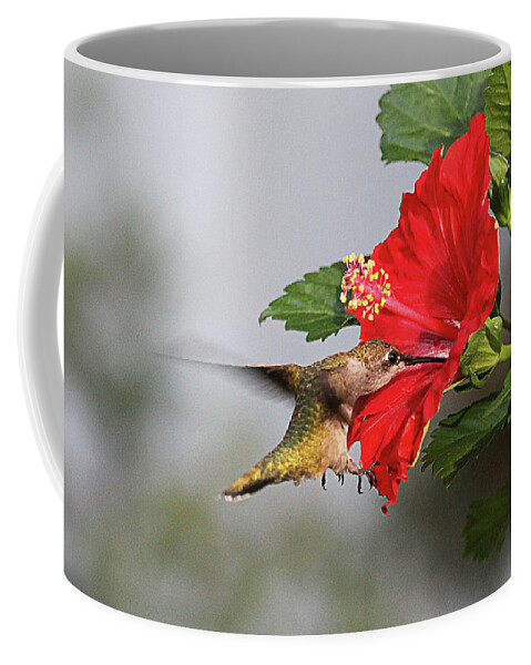 Red Hibiscus Coffee Mug featuring the photograph Good to the Last Drop by Robert Camp