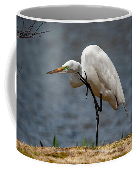 Egret Coffee Mug featuring the photograph Got An Itch by Cathy Kovarik
