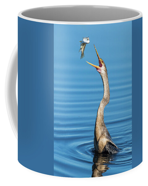 Donnelley Wma Coffee Mug featuring the photograph Gotcha by Jim Miller