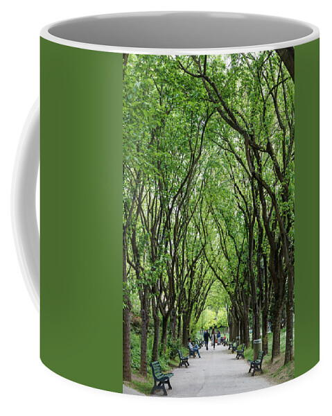 Landscape Coffee Mug featuring the photograph Gothic Greenery by W Chris Fooshee