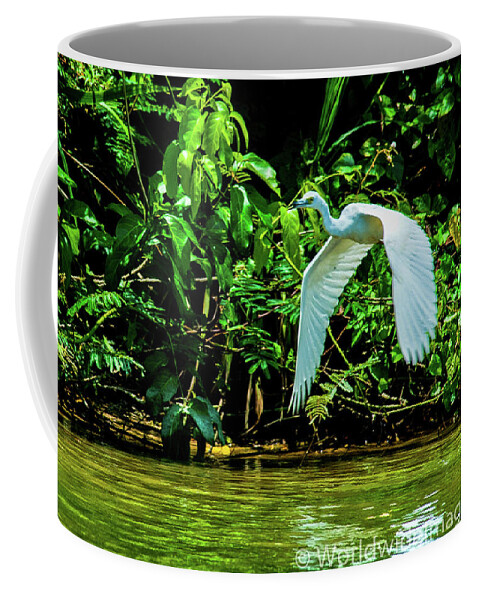 Great White Egret Coffee Mug featuring the photograph May You Find Peace by Leslie Struxness