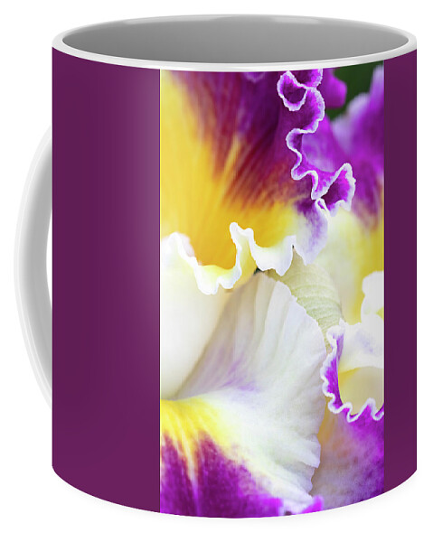 Flower Coffee Mug featuring the photograph Graceful by Patty Colabuono