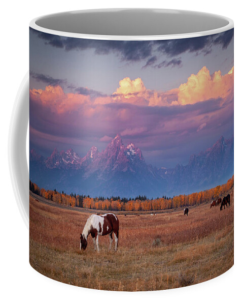 Grand Tetons Coffee Mug featuring the photograph Grand Teton Pasture by Wesley Aston